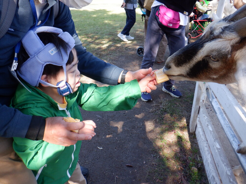 R6_01 修学旅行2