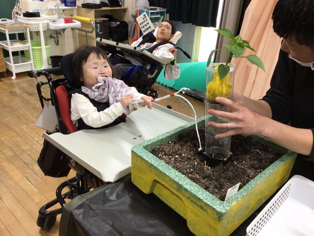 08_生単(野菜の苗植え)