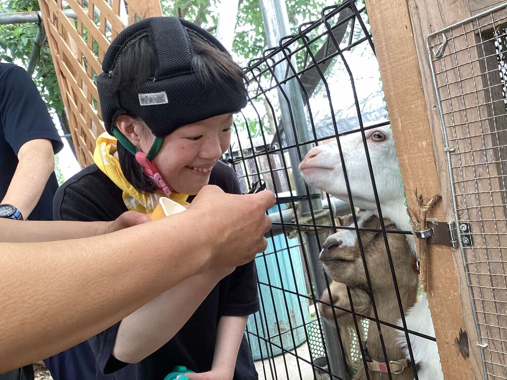 社会見学(動物とふれあい